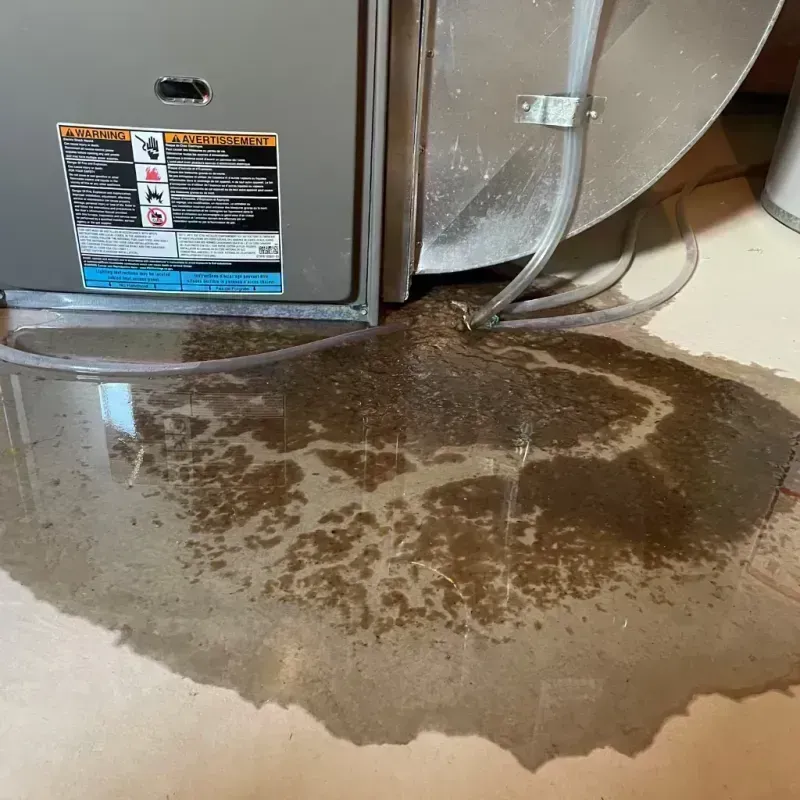 Appliance Leak Cleanup in Lexington, KY